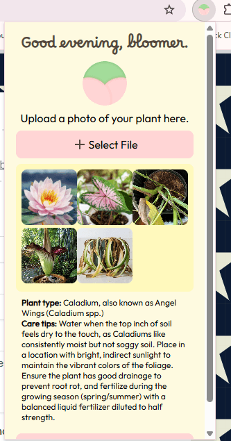 Screenshot of Bloomia